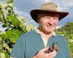 The center is also credited with developing grapevine due to which Canadian Vine is famous around the world.